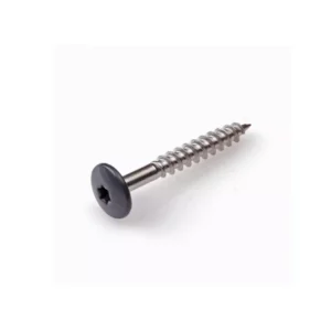 Trespa schroef RVS RAL7016 4,8x38mm 100st.