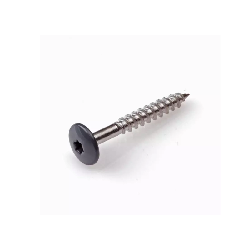 Trespa schroef RVS RAL7016 4,8x38mm 100st.
