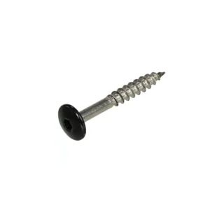 Trespa schroef RVS RAL9005 4,8x38mm 100st.