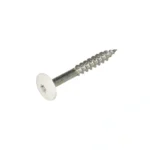 HPL schroef RVS A2 wit 4,8x38mm 100st.