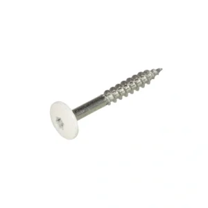 HPL schroef RVS A2 wit 4,8x38mm 100st.