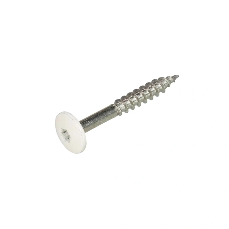 HPL schroef RVS A2 wit 4,8x38mm 100st.